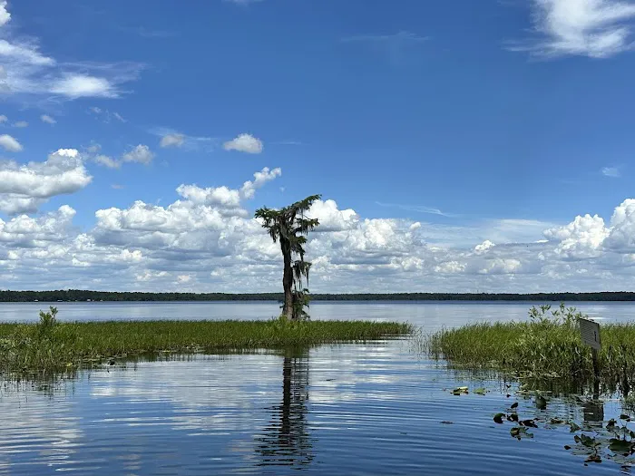 Olustee, FL. Hog Pen Landing 1