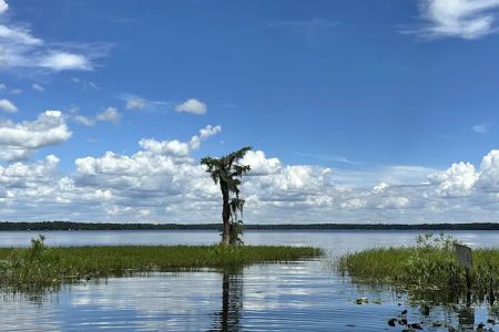 Olustee, FL. Hog Pen Landing