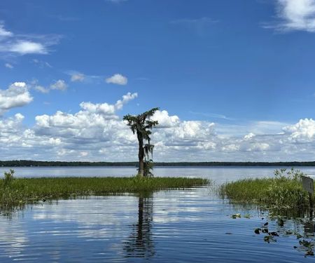 Olustee, FL. Hog Pen Landing