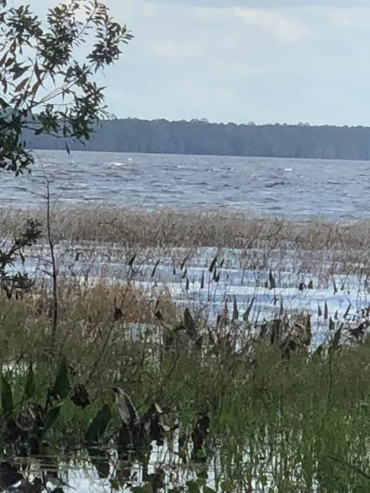 Hog Pen Landing 4