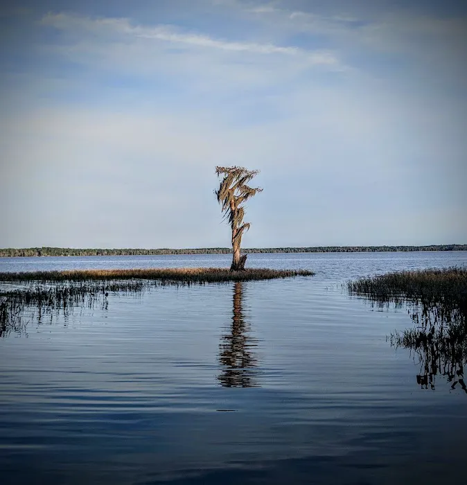 Hog Pen Landing 8