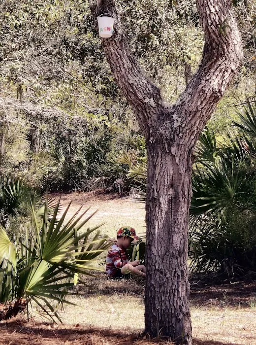 Blackwater Ranch 2