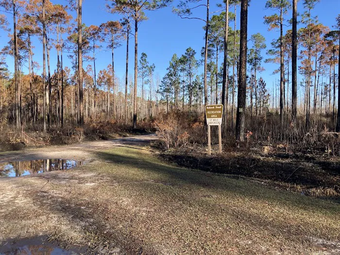 17 Mile Hunt Camp 1