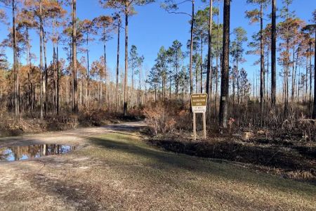 17 Mile Hunt Camp