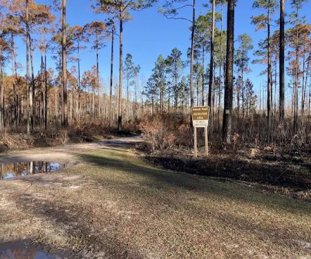 17 Mile Hunt Camp