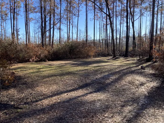 17 Mile Hunt Camp 3