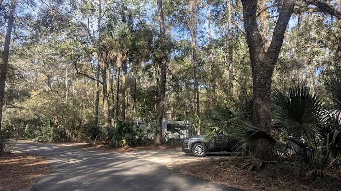 Paynes Prairie Camping 4