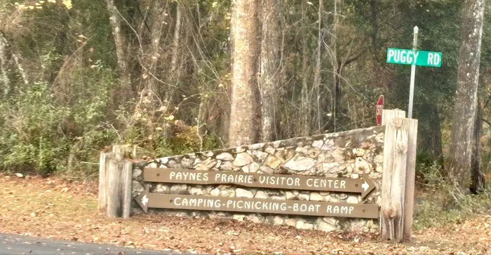 Paynes Prairie Camping 7
