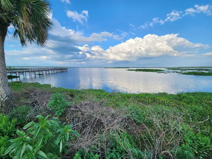 Paynes Prairie Camping 9