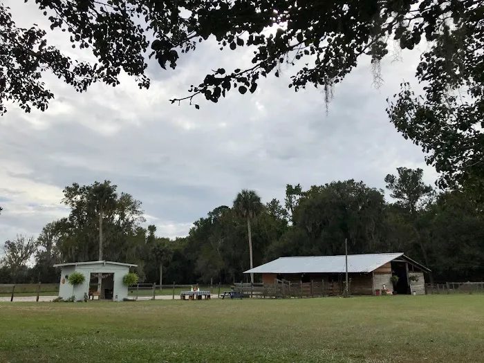 Collins Farm 2