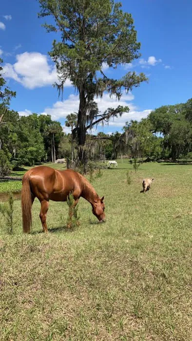 Collins Farm 5