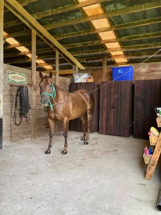 Collins Farm 7