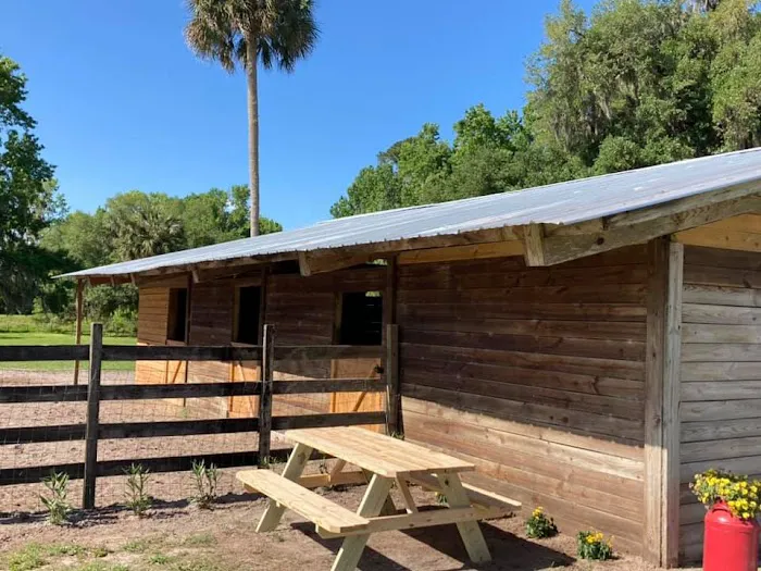 Collins Farm 8