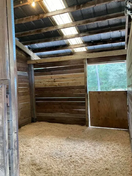 Collins Farm 9