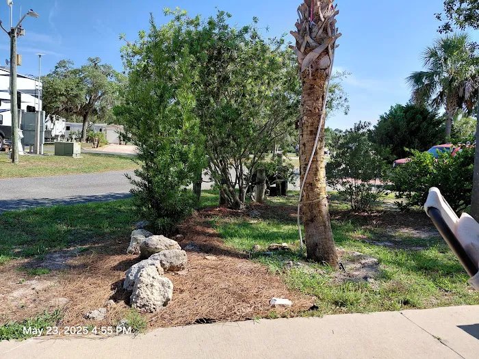 Cedar Key RV Resort 3