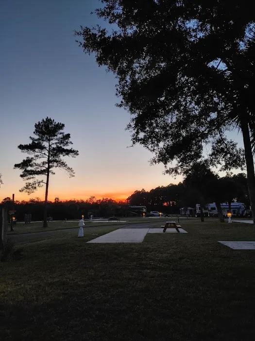 Cedar Key RV Resort 7