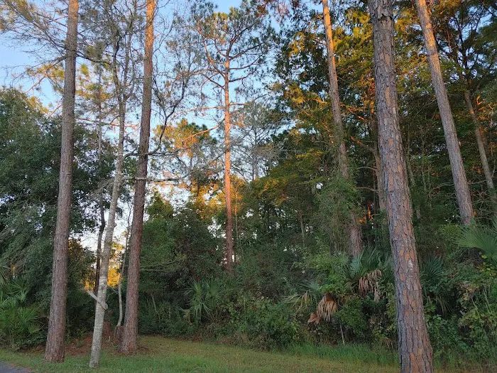Cedar Key RV Resort 8