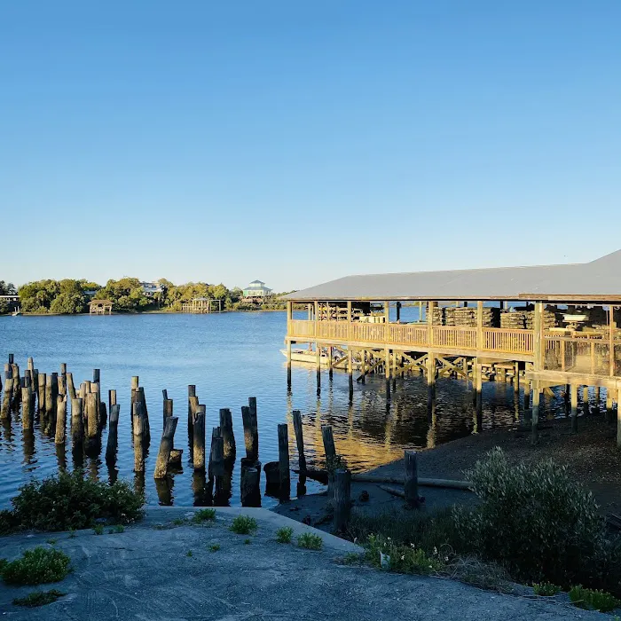 Cedar Key RV Resort 10
