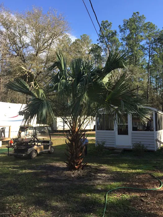 Shady Oaks Campground 1