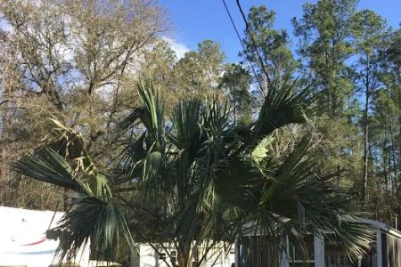 Shady Oaks Campground