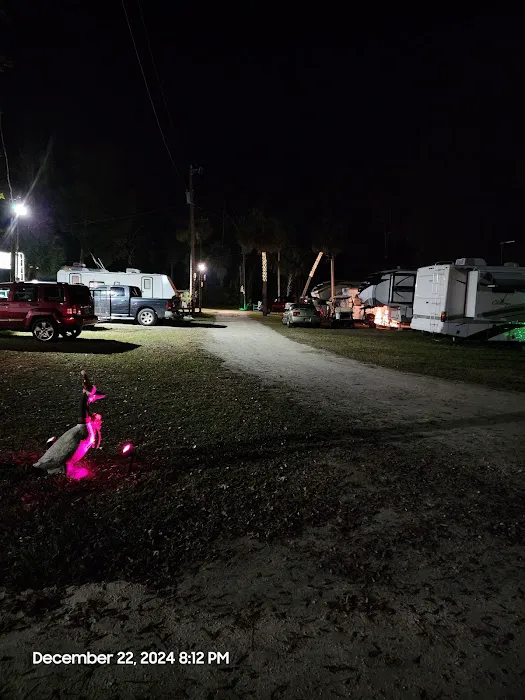 Shady Oaks Campground 10
