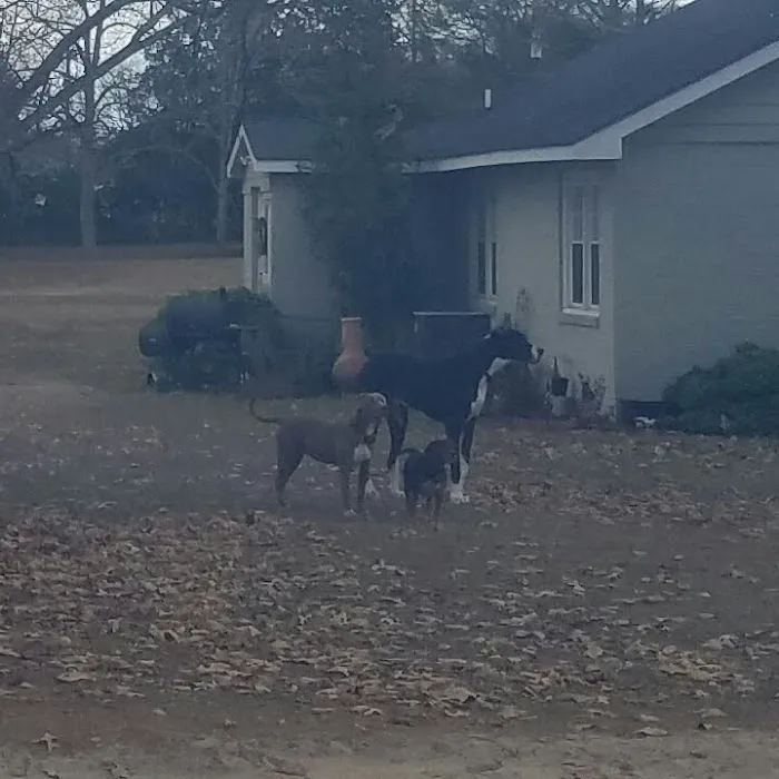 The Junction Mobile Home Park 1