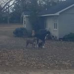 The Junction Mobile Home Park