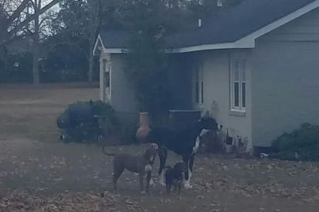 The Junction Mobile Home Park