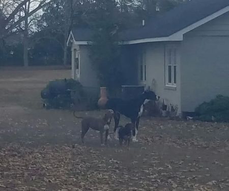 The Junction Mobile Home Park