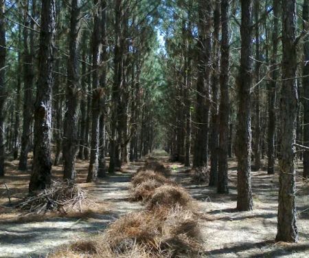 Lakeside Mobile Home Park