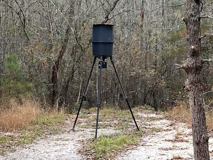 Hidden Forest RV Club 3