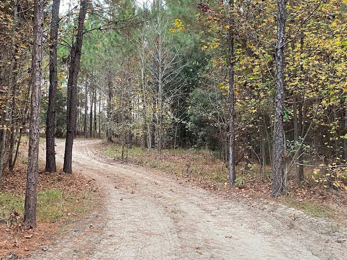 Hidden Forest RV Club 6