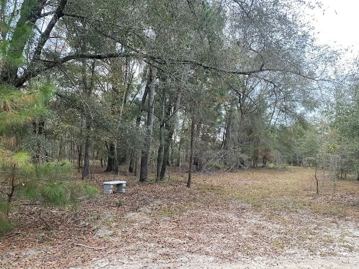 Hidden Forest RV Club 7
