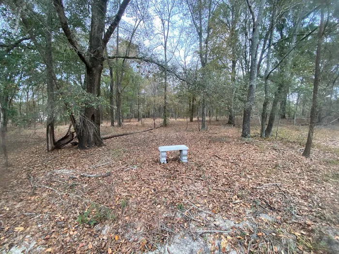 Hidden Forest RV Club 10