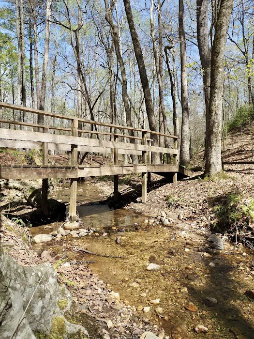 FDR State Park Campground 8