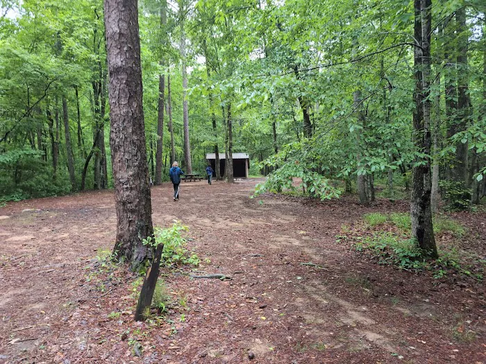Pioneer Campsite #3 3