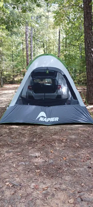 Pioneer Campsite #3 8