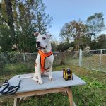 Lake Eufaula Campground