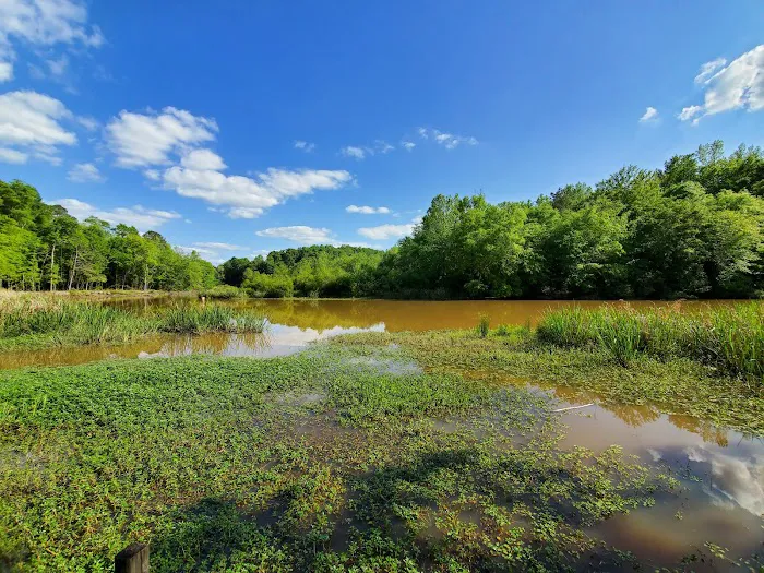 Lake Eufaula Campground 5