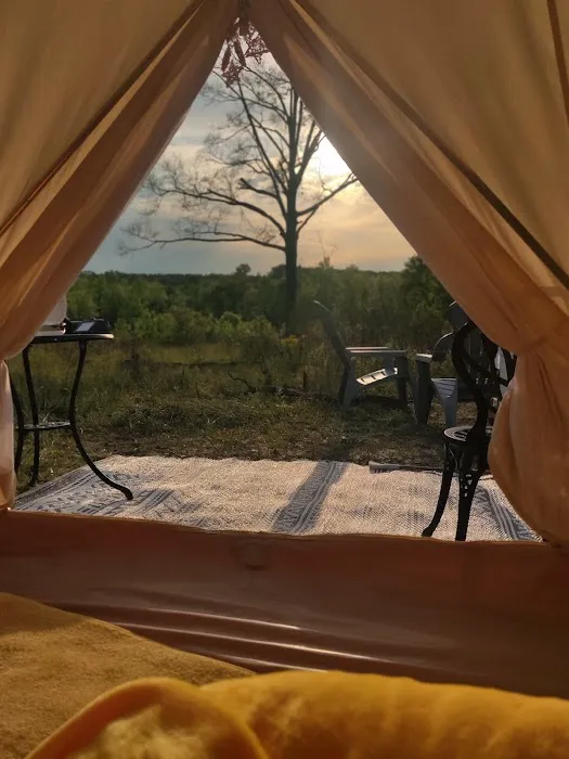 County Rd Camp and Glamp 6