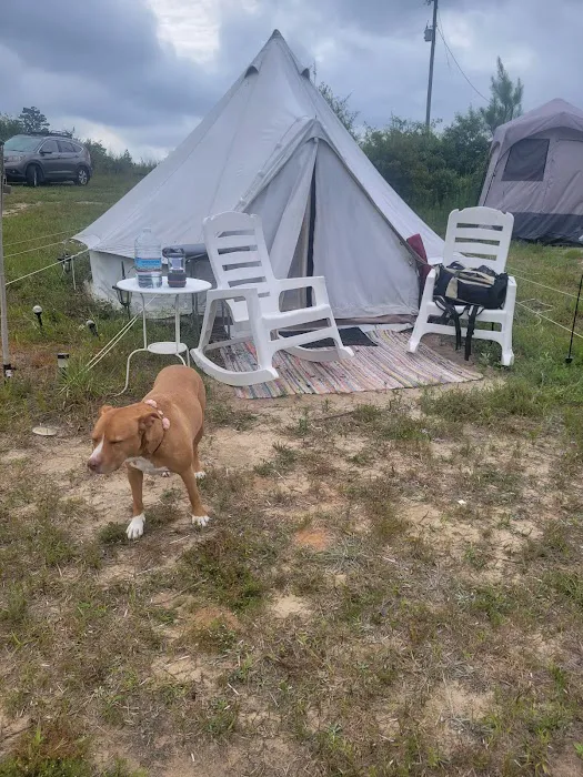 County Rd Camp and Glamp 8