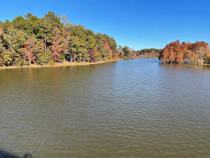 Pataula Storage, Camping, RV Park 4