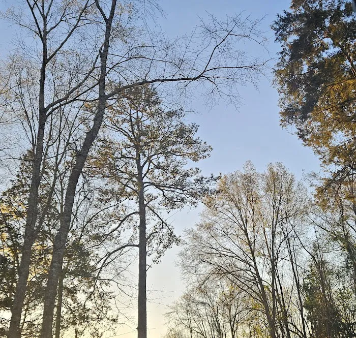HIDDEN OAKS RV AND CABINS 5
