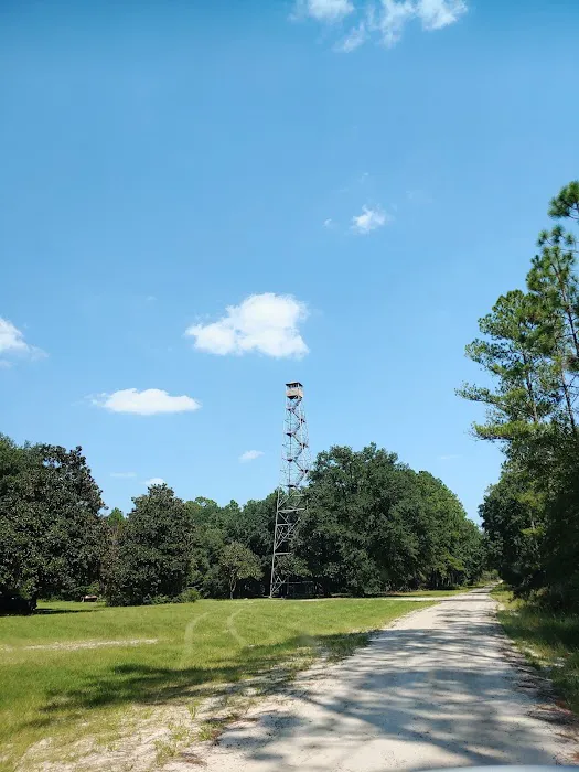 EAST TOWER CAMP 8