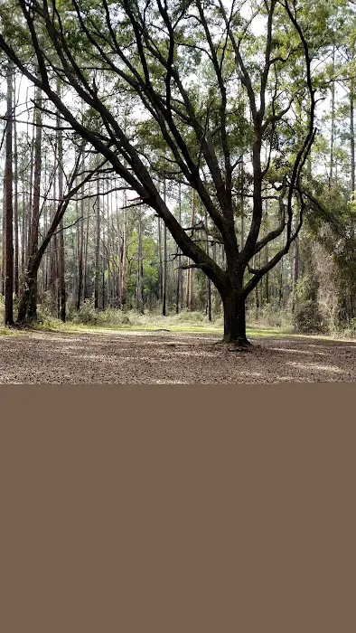 EAST TOWER CAMP 10