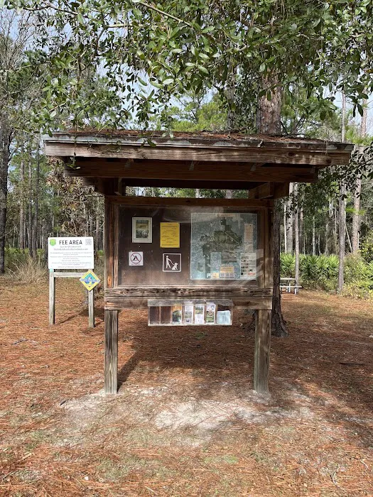 Jennings State Forest - Hammock Campground 2