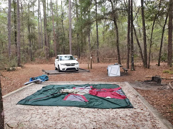 Jennings State Forest - Hammock Campground 1