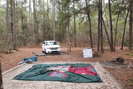 Jennings State Forest - Hammock Campground