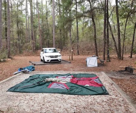 Jennings State Forest - Hammock Campground