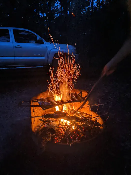 Jennings State Forest - Hammock Campground 10